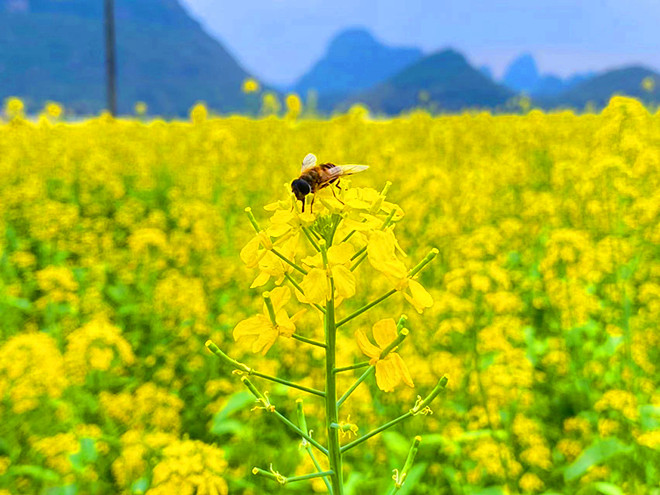 微信图片_20240422093309_副本